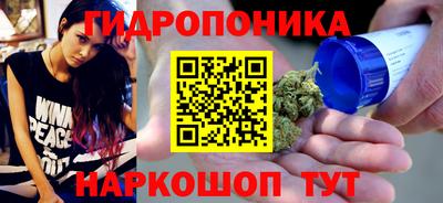 метадон Можга