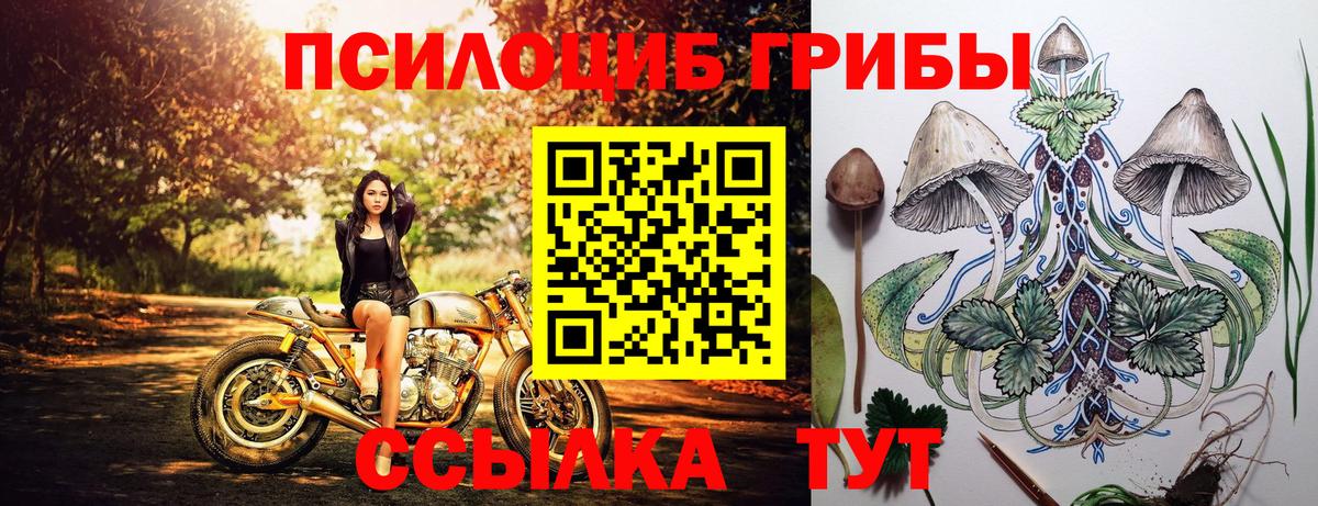 Псилоцибиновые грибы GOLDEN TEACHER Строитель