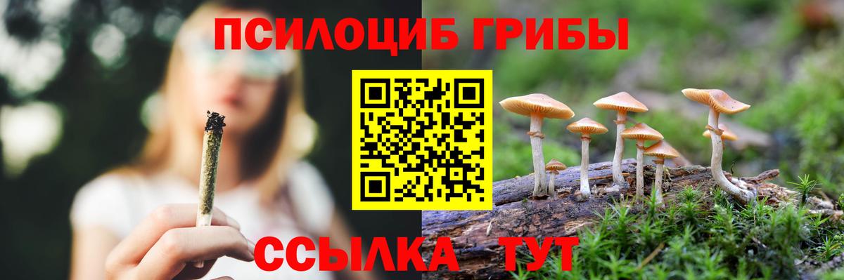 Строитель  Псилоцибиновые грибы Cubensis  Вход с VPN 